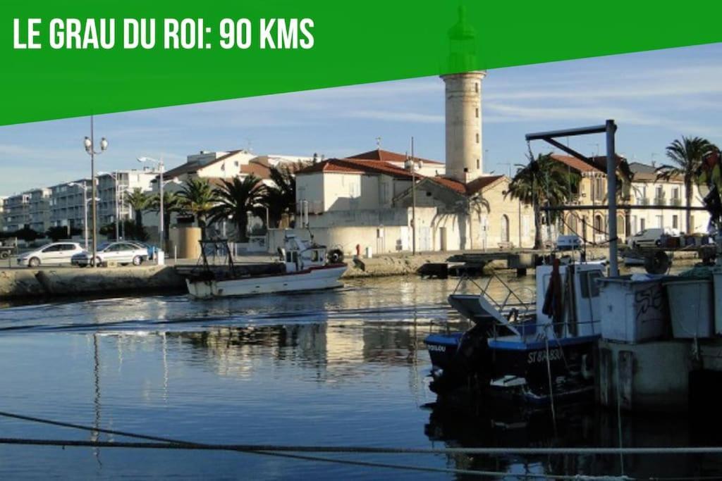 אביניון Le Saint-Laurent - Parking Gratuit - Terrasse - Wi-Fi מראה חיצוני תמונה
