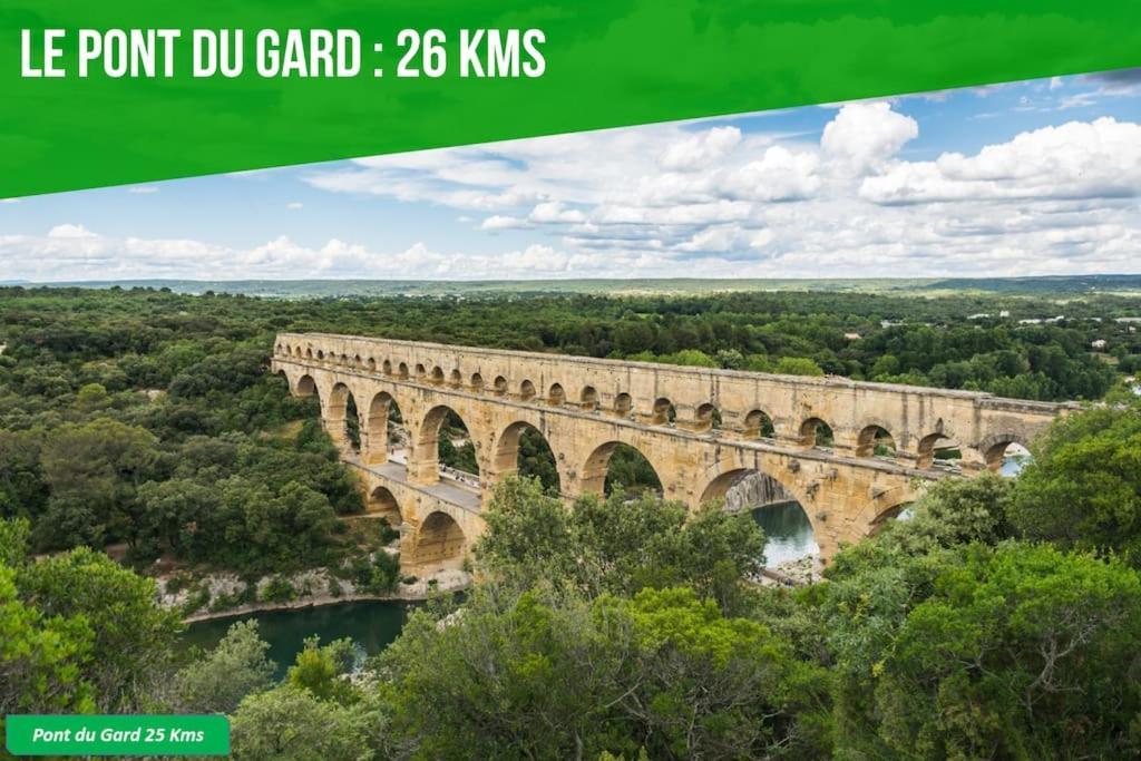 אביניון Le Saint-Laurent - Parking Gratuit - Terrasse - Wi-Fi מראה חיצוני תמונה