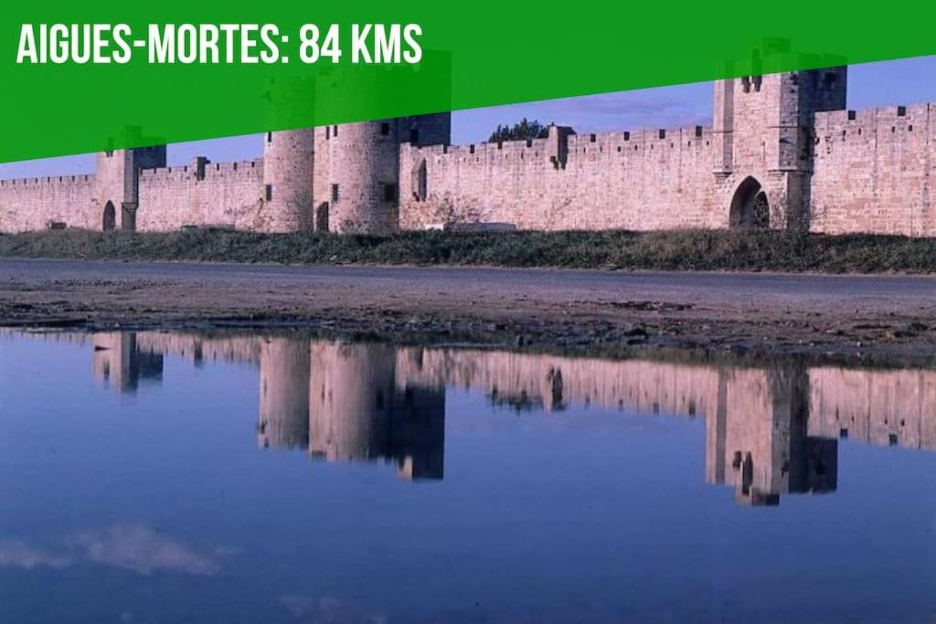 אביניון Le Saint-Laurent - Parking Gratuit - Terrasse - Wi-Fi מראה חיצוני תמונה